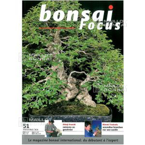 BONSAI FOCUS N°51