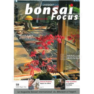 bonsai-focus-n-59