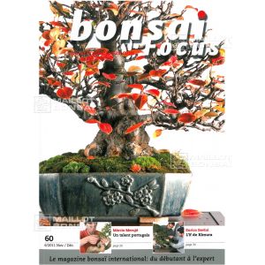 BONSAI FOCUS N° 60