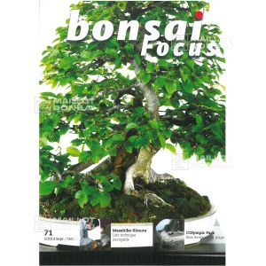 bonsai-focus-n-71