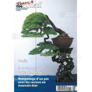 vendu-france-bonsai-n-104