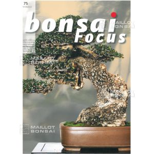 bonsai-focus-n-75