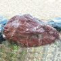 Red sanba rock 12088