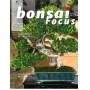 bonsai-focus-n-81