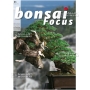 bonsai-focus-83