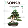 Mini bonsai Juniperus rigida handbook N°8