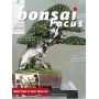 bonsai-focus-n-95