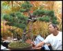 how-to-twist-a-bonsai-trunk-in-10-lessons