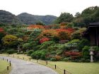 Le superbe jardin d’une star du cinéma japonais Mr OKOCHI