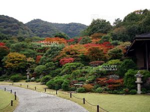 Okochi sanso garden kyoto
