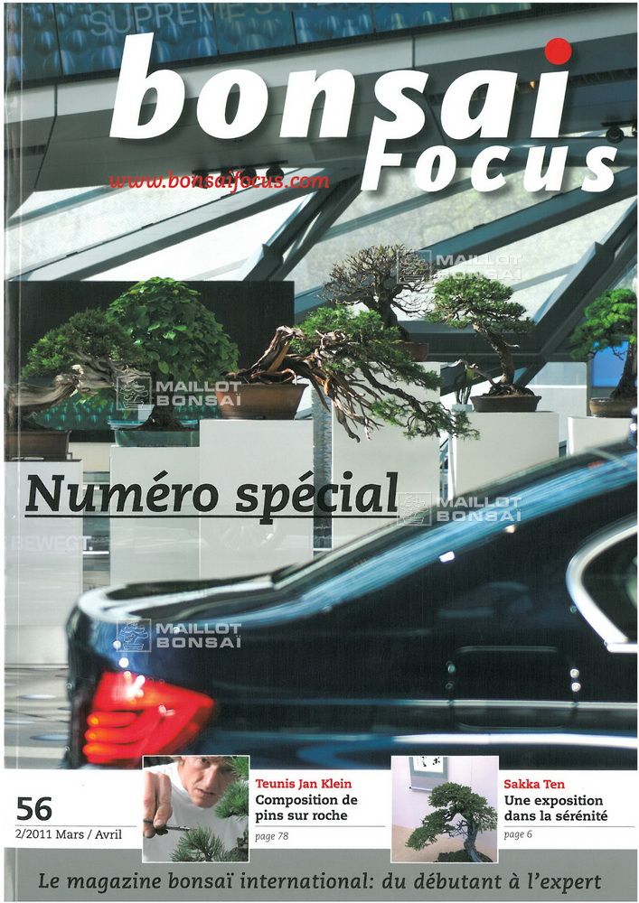 magazine BONSAI FOCUS N 56 from Maillot-Erable - The store MAILLOT-ERABLE