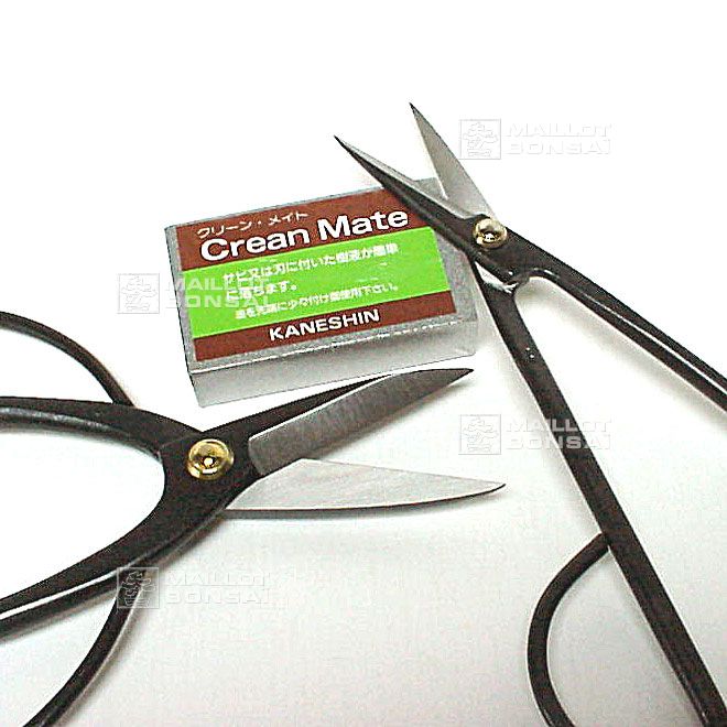Bonsai tools Kaneshin polishing eraser for tools from Maillot-Erable - The  store MAILLOT-ERABLE