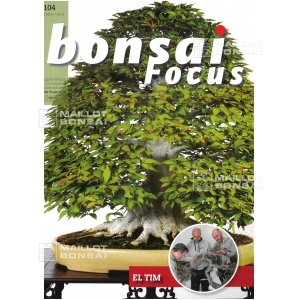 bonsai-focus-n-104