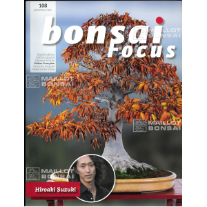 BONSAI FOCUS N° 108