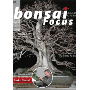 bonsai-focus-magazine-109