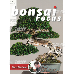 bonsai-focus-n-125