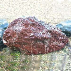 red-sanba-rock-12088