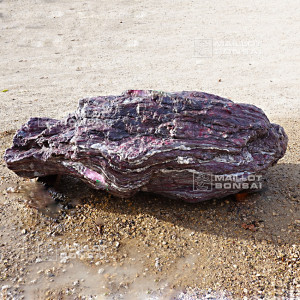 roche-samba-n-12353-extra