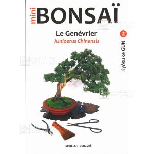 Mini bonsai N°2 genevrier shinpaku Kyosuke Gun