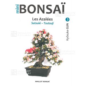 Mini bonsai N°3 azalée satsuki Kyosuke Gun
