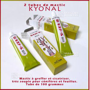 Mastic 2 tubes a cicatriser kyonal. PROMO