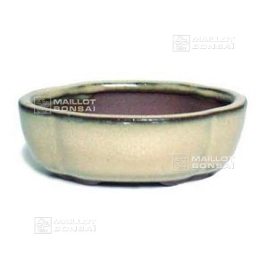 g1-quince-flower-oval-mini-pot-beige