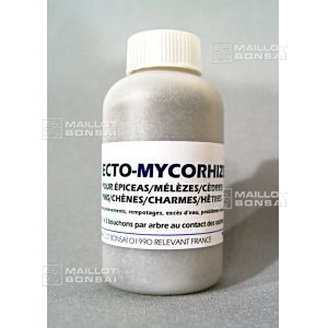 ECTO MYCORHIZE 100 Gr