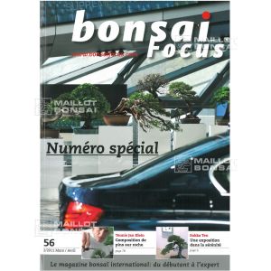 BONSAI FOCUS N° 56