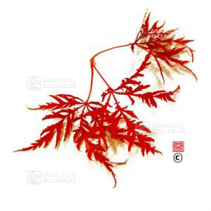 verif-pm-lineaires-red-spider