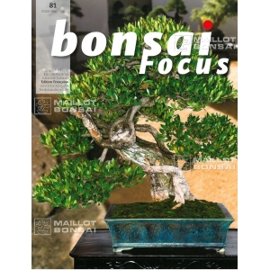 Bonsai focus 81