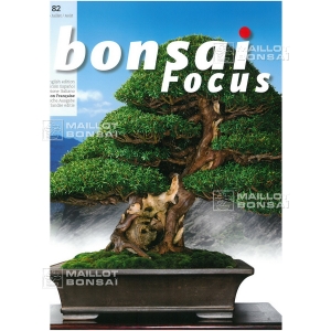 bonsai-focus-n-82