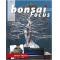 BONSAI FOCUS N° 97