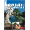 Bonsai focus magazine 99