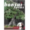 BONSAI FOCUS N° 105