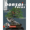 BONSAI FOCUS N° 123