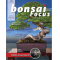 BONSAI FOCUS N° 126