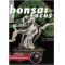 BONSAI FOCUS N° 127