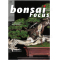 BONSAI FOCUS N° 130