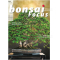 BONSAI FOCUS N° 132