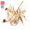 dissectum-beni-shidare-variegated-baby