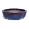 G2 quince flower oval mini pot blue