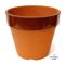 Deep bonsai training pot n° 12