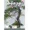 bonsai focus N 62