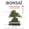 Mini bonsai N°7 érables de burger K Gun