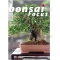 BONSAI FOCUS N° 84