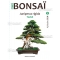 Mini bonsai Juniperus rigida handbook N°8