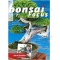 BONSAI FOCUS N° 90