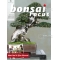 BONSAI FOCUS N° 95