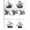 BONSAI FOCUS N° 119