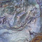 Roche samba N° 200-12226